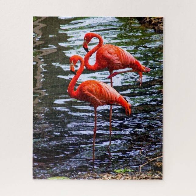 Rosa Flamingos im Wasser (Vertikal)