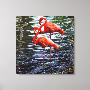 Rosa Flamingos im Wasser Leinwanddruck