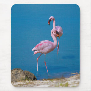 Rosa Flamingos in dem See Mousepad