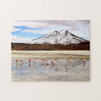 Rosa Flamingos in den Anden