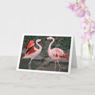 Rosa Flamingos Karte