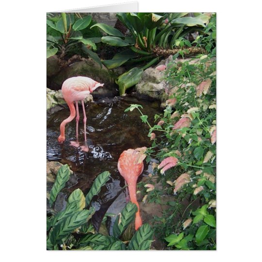 Rosa Flamingos Karte