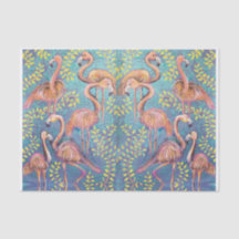 Rosa Flamingos