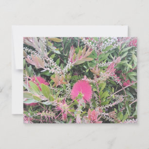 Rosa Flasche Blume im Blumengarten Aussicht Postkarte