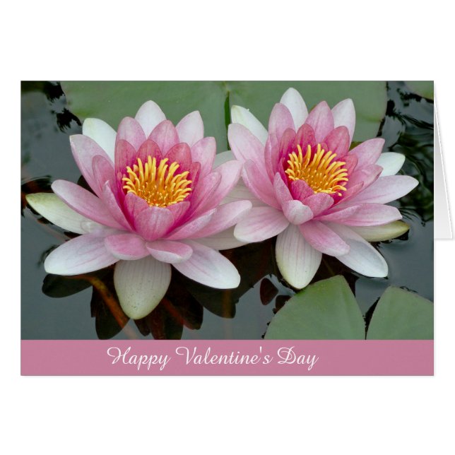 Rosa Floating Wasserlilie Lotus Valentine's Day Ca (Vorderseite (Horizontal))