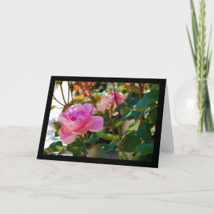 Rosa Floral Rose Karte