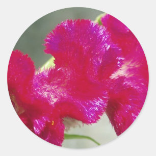 Rosa florale Aufkleber