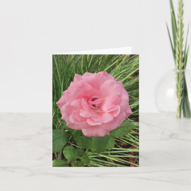 Rosa Foto Faltkarte (Vorderseite)