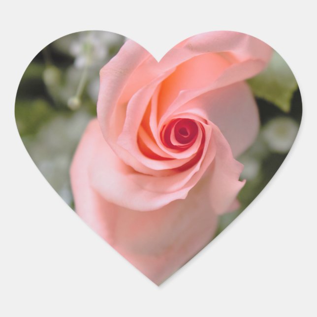Rosa Foto Herz-Aufkleber (Vorderseite)