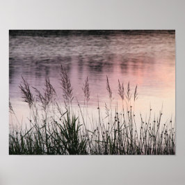 Rosa Foto Piazza della Riforma Poster