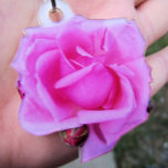 Rosa-Foto-Skulptur Fotoskulptur Ornament<br><div class="desc">Mein Beispiel-Foto wurde von einem Schlüsselanhänger genommen,  den ich gekauft habe. Das ausgeschnittene rosa Rosengarten Foto wurde in einem Rose Garten aufgenommen,  den ich in Portland,  Oregon,  besuchte. Zwei ungeöffnete Knospen mit dem abgeschiedenen Bild.</div>