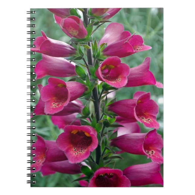Rosa Foxglove-Blume Notizblock (Vorderseite)