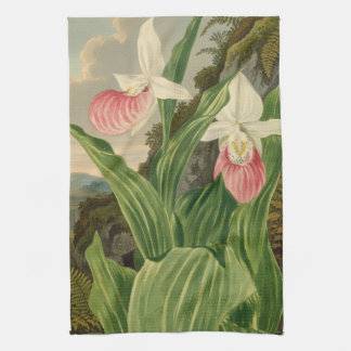 Rosa Frauenschuh alte botanische Orchidee Geschirrtuch