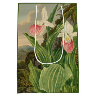 Rosa Frauenschuh alte botanische Orchidee Mittlere Geschenktüte