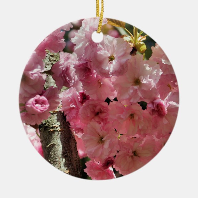 Rosa Frühling blüht Blumen-Verzierung Keramik Ornament (Vorne)