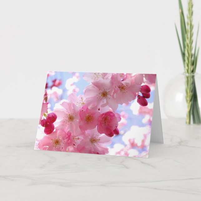 Rosa Frühlingsblüte Feiertagskarte (Vorderseite)