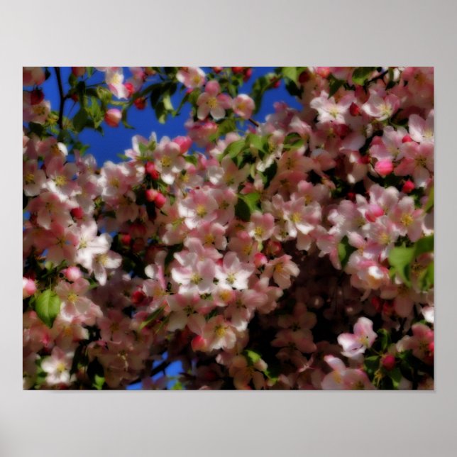 Rosa Frühlingsblüten Blauer Himmel Orton Effekt Poster (Vorne)