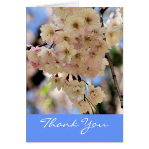 Rosa Frühlingsblüten Blume Danke