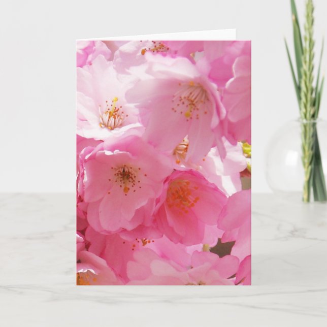 Rosa Frühlingsblüten Karte (Vorderseite)