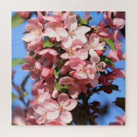 Rosa Frühlingsblüten mit blauem Himmel
