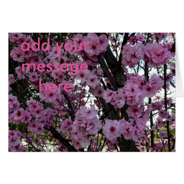 Rosa Frühlingsblütenbaum, (Vorderseite (Horizontal))