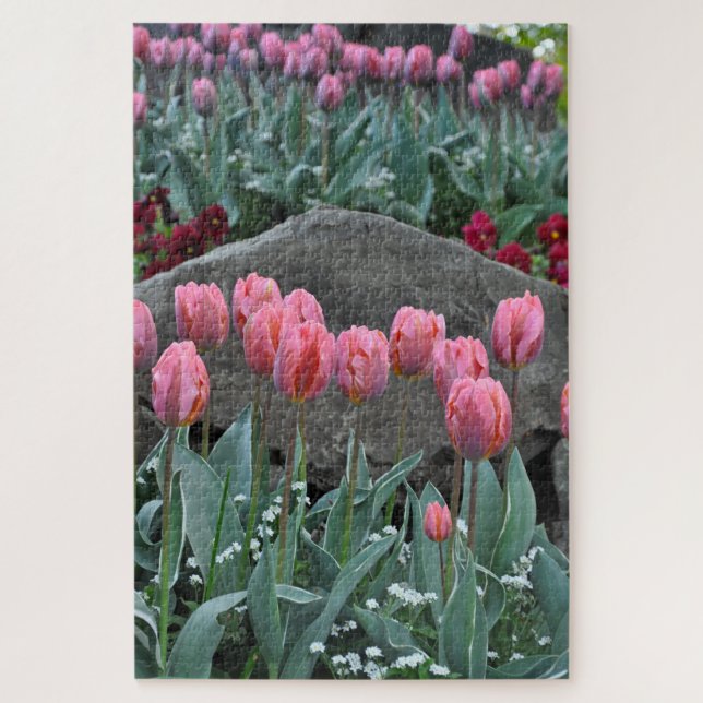 Rosa Frühlingtulis (Vertikal)