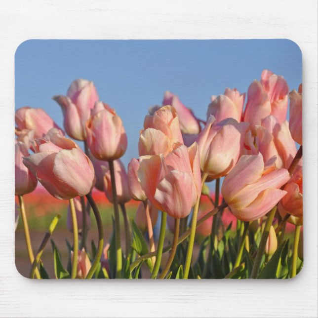 Rosa Frühlingtulis Mousepad (Vorne)