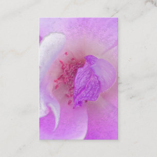 *~* rosa Fuchia Lavendel-violette Visitenkarte