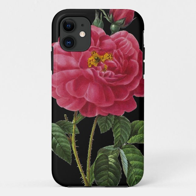 Rosa Gallica Case-Mate iPhone Hülle (Rückseite)