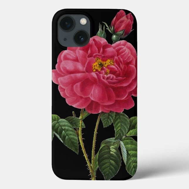 Rosa Gallica Case-Mate iPhone Hülle (Rückseite)