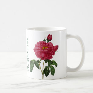 Rosa Gallica Kaffeetasse