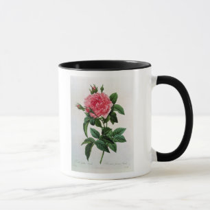 Rosa Gallica Regallis Tasse