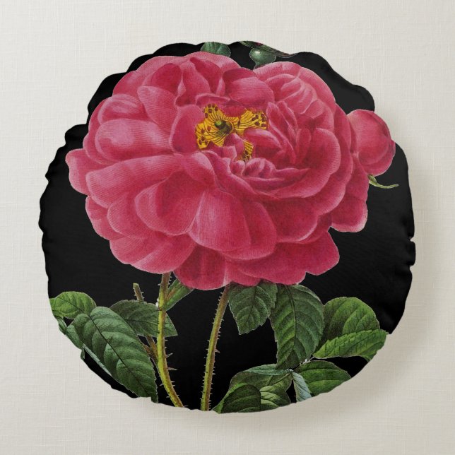 Rosa Gallica Rundes Kissen (Vorderseite)