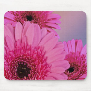 Rosa Gänse Mousepad