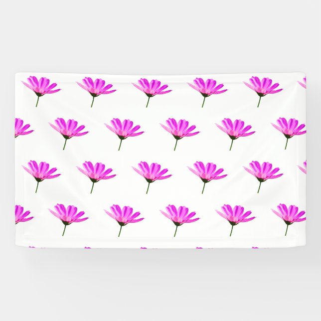 Rosa Gänseblümchen   Banner (Horizontal)