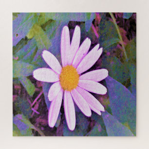 Rosa Gänseblümchen-Blume