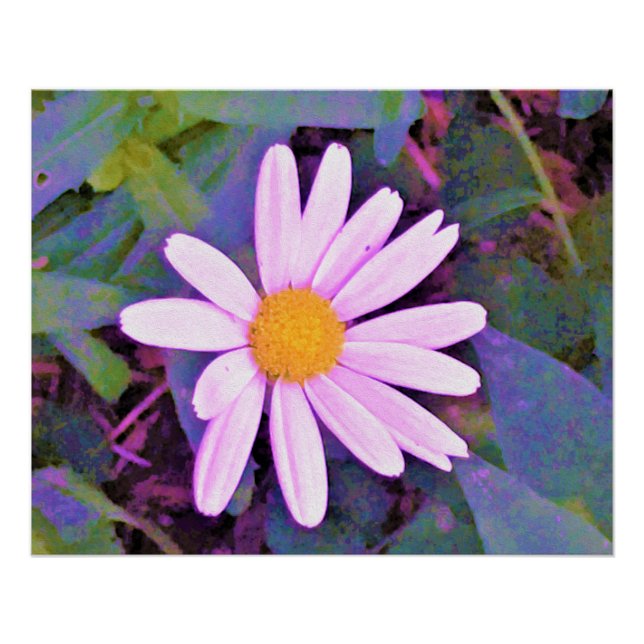 Rosa Gänseblümchen-Blume Poster (Vorderseite)