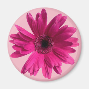 Rosa Gänseblümchen emoji Magnet
