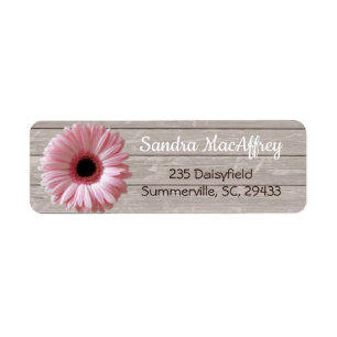 Rosa Gänseblümchen Gerbera auf hellem Holz