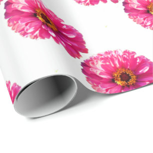 Rosa Gänseblümchen Geschenkpapier