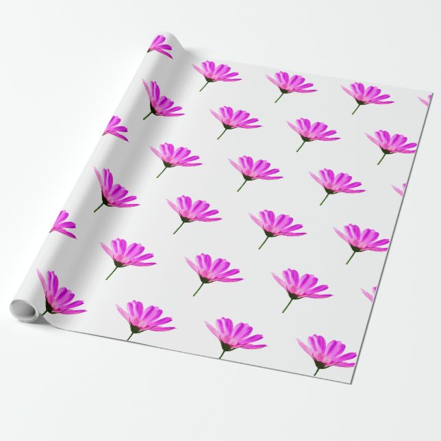 Rosa Gänseblümchen Geschenkpapier (Ungerollt)