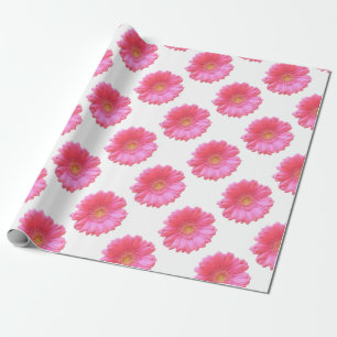 Rosa Gänseblümchen Geschenkpapier