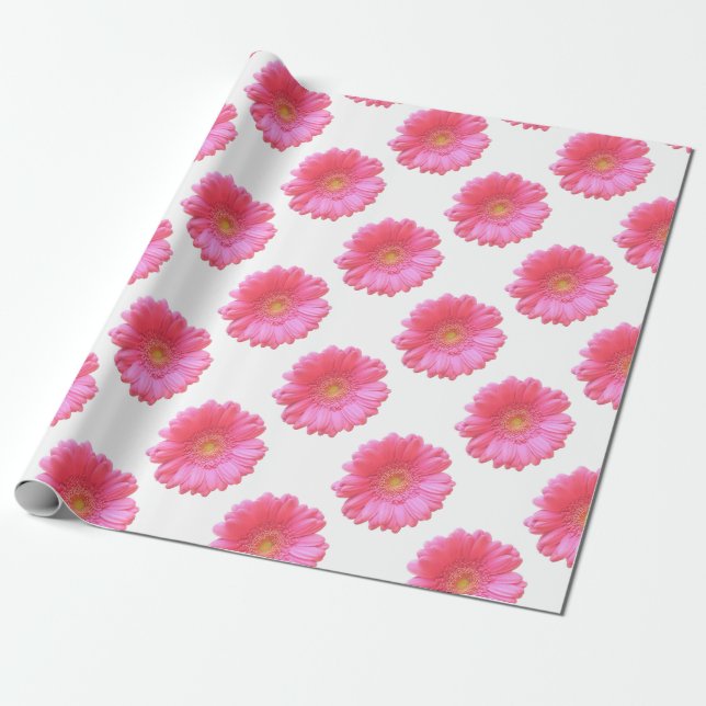Rosa Gänseblümchen Geschenkpapier (Ungerollt)