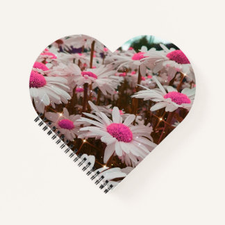 Rosa Gänseblümchen Herzförmiges Notizbuch