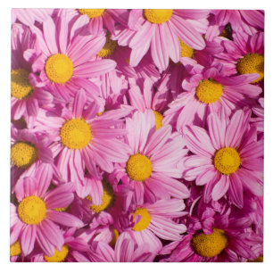 Rosa Gänseblümchen-Muster Fliese