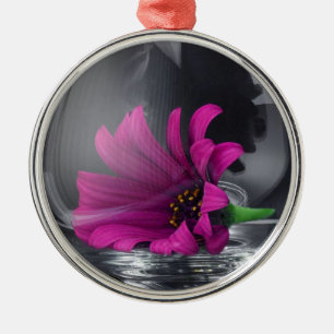 Rosa Gänseblümchen-Nahaufnahme in einem Wein-Gla Ornament Aus Metall