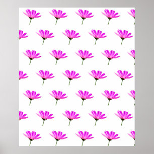 Rosa Gänseblümchen  Poster