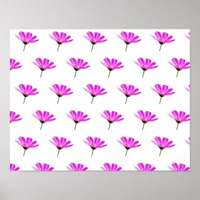 Rosa Gänseblümchen   Poster (Vorne)