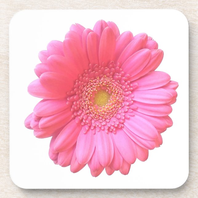 Rosa Gänseblümchen Untersetzer (Vorderseite)