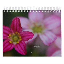 Rosa Garden Blume Kalender